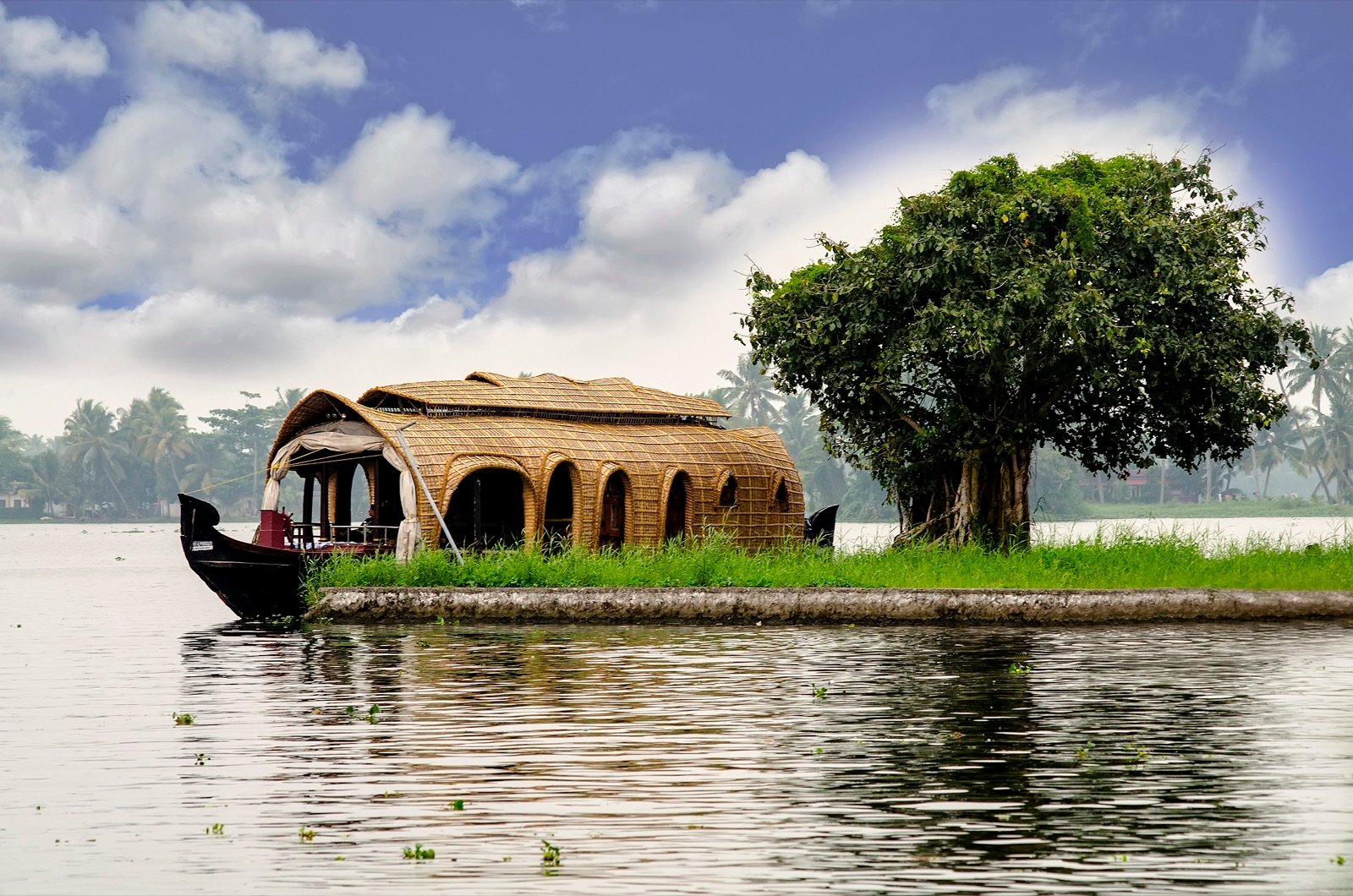 Alleppey 3