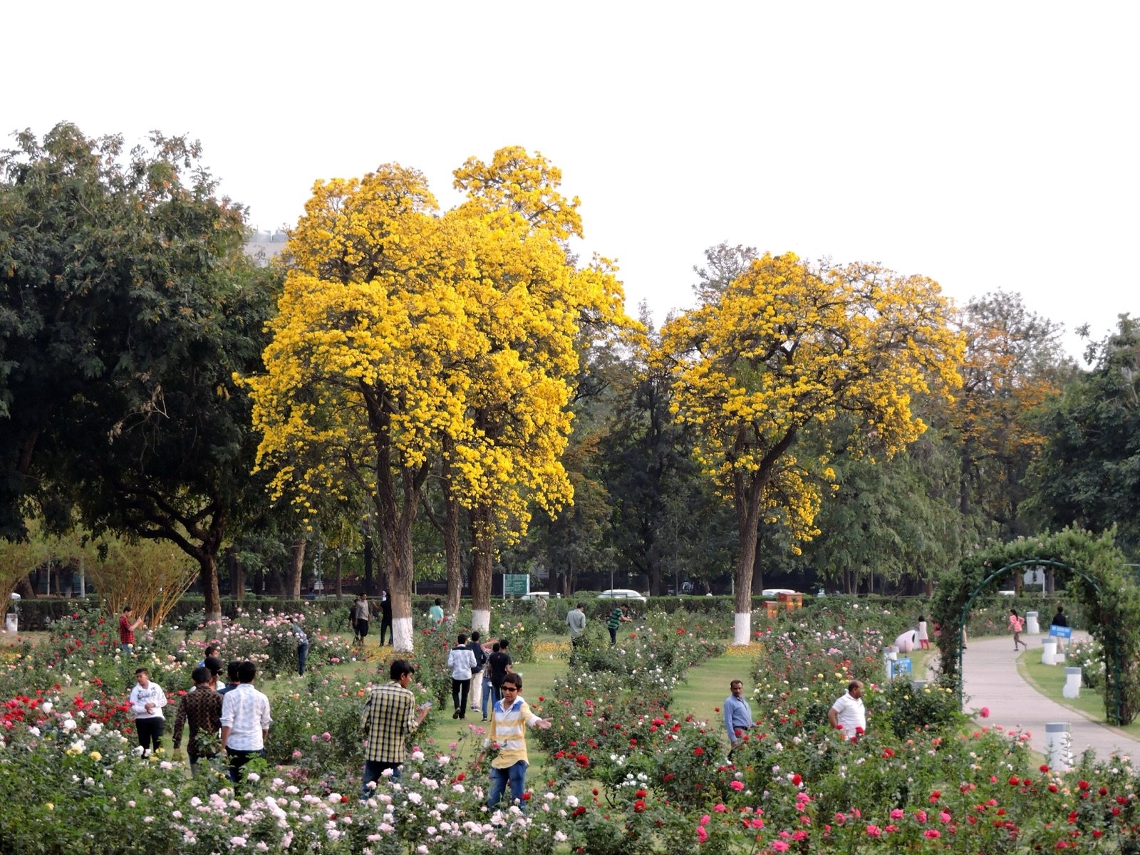 Chandigarh 4