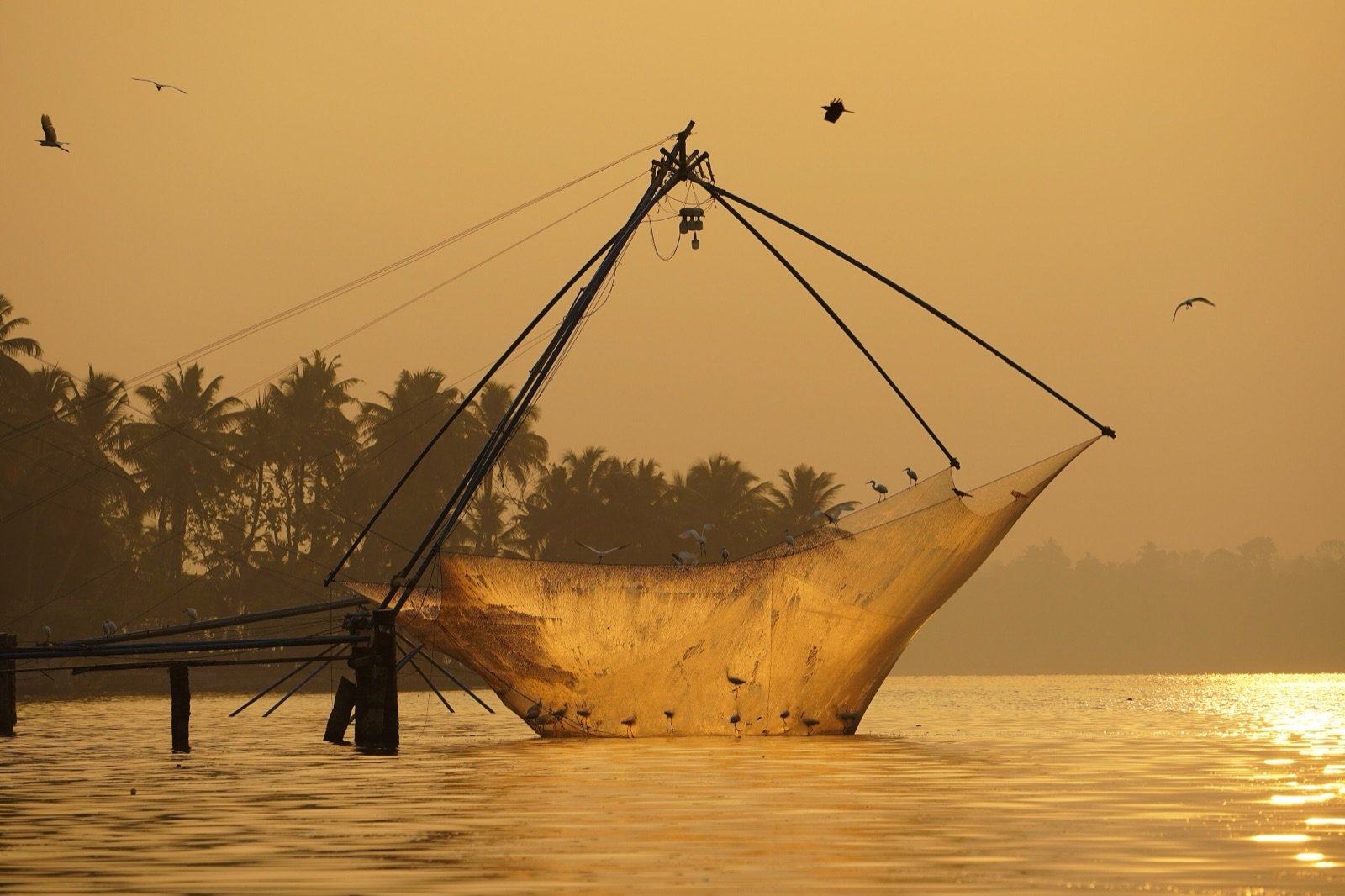 Kochi 1