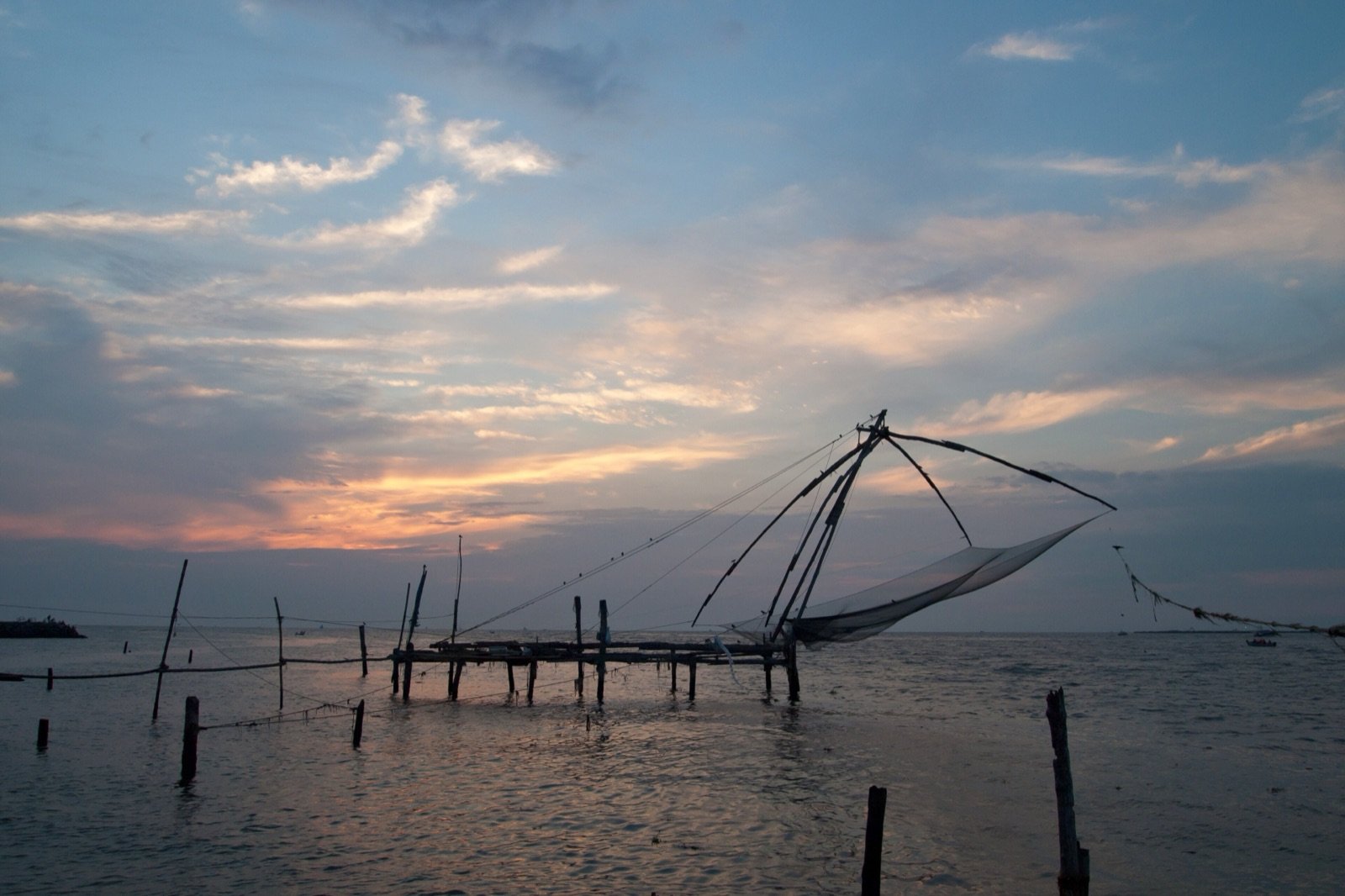 Kochi 2