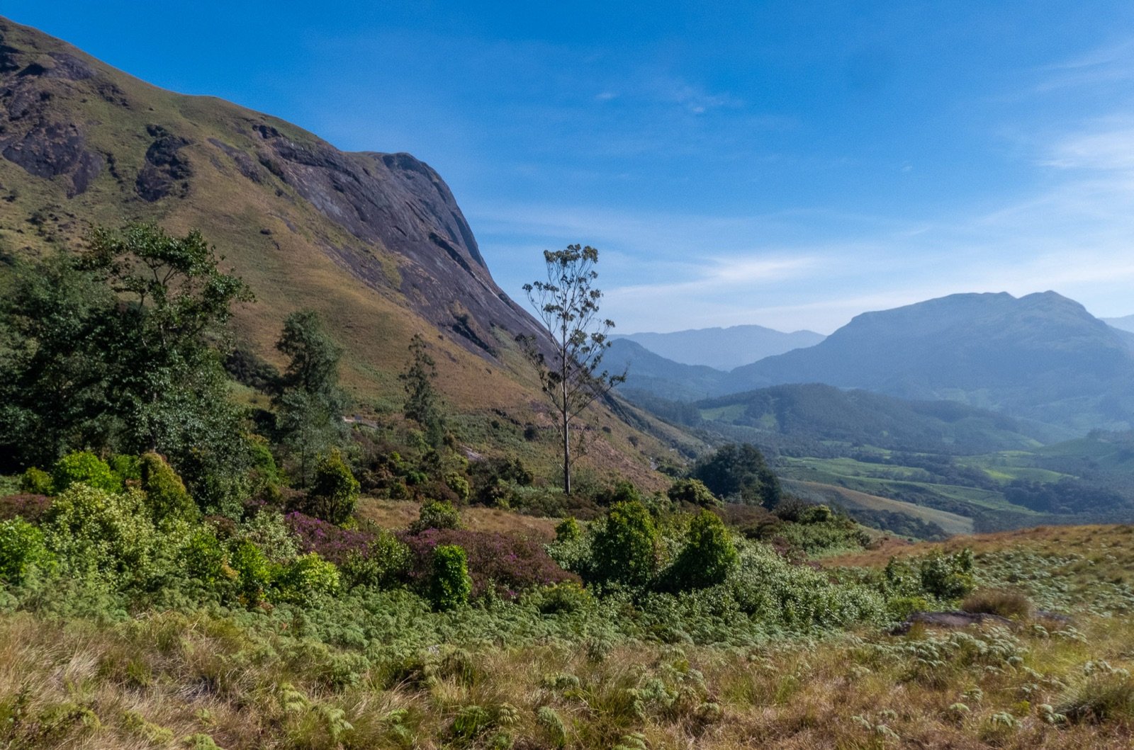 Munnar 2