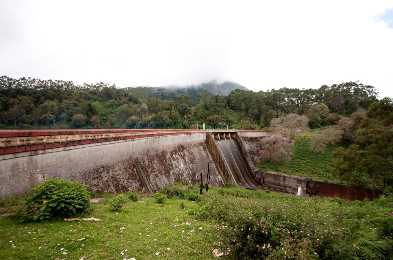 Munnar 5