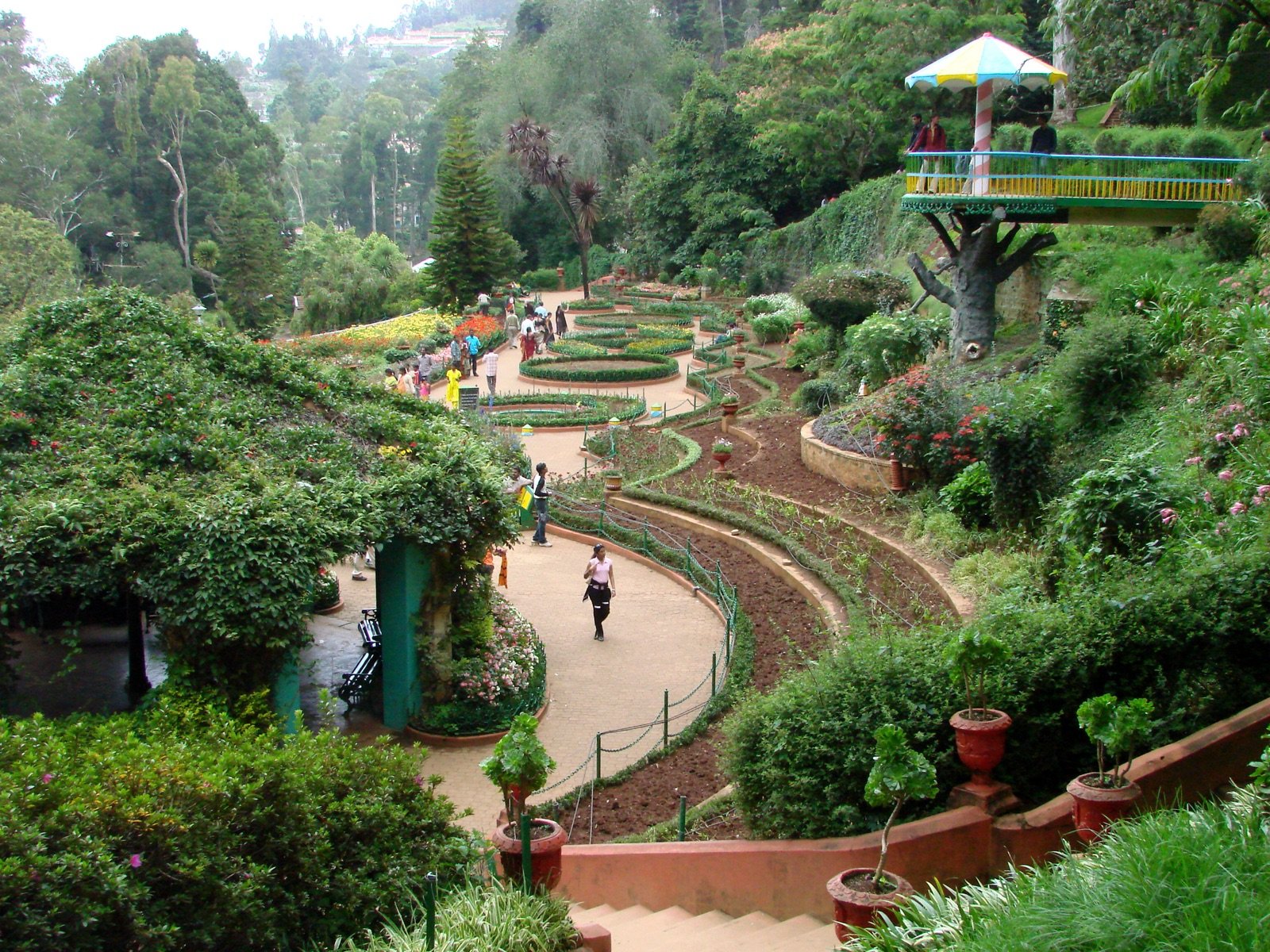 Ooty 4
