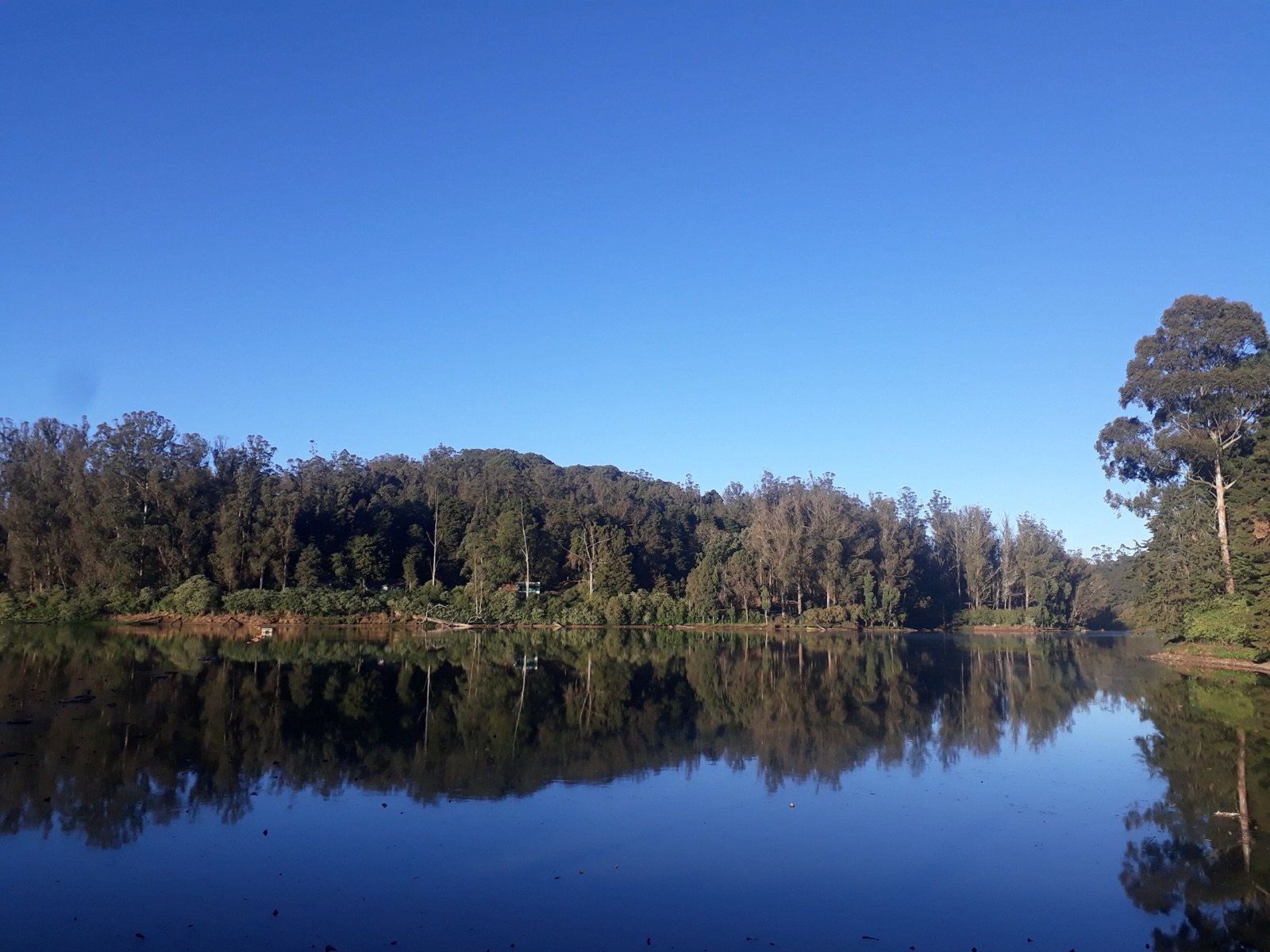 Ooty 2