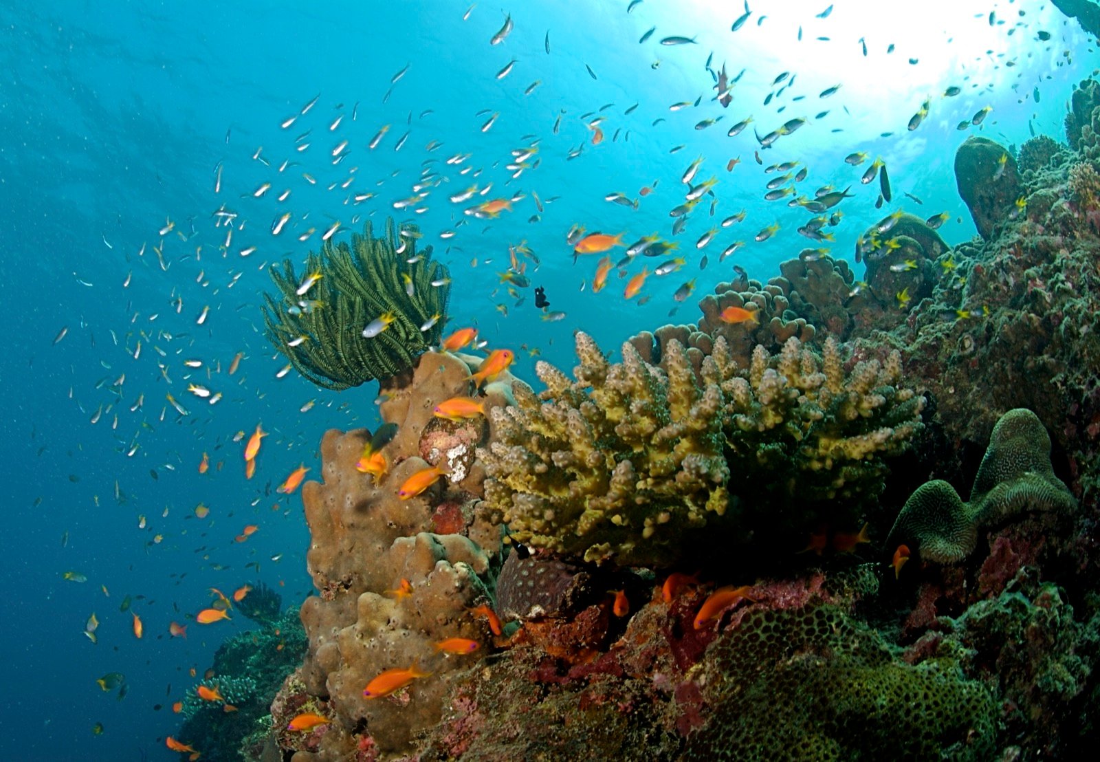 Port Blair 4