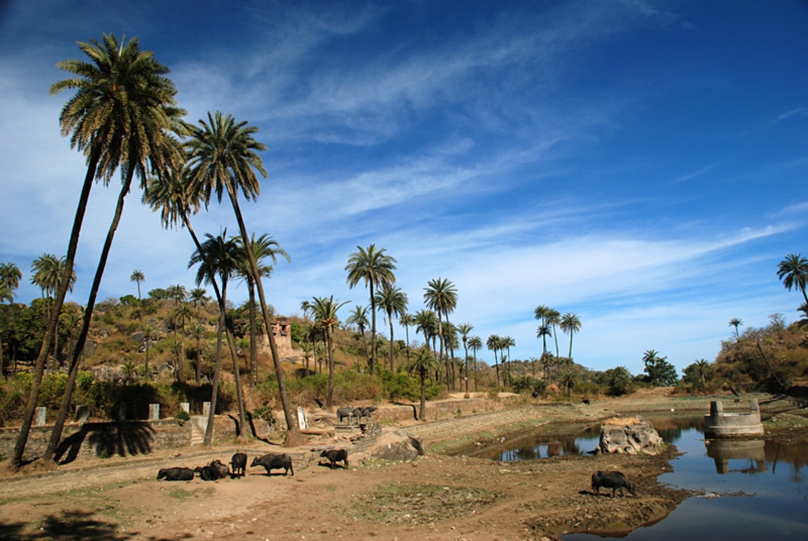Mount Abu 2