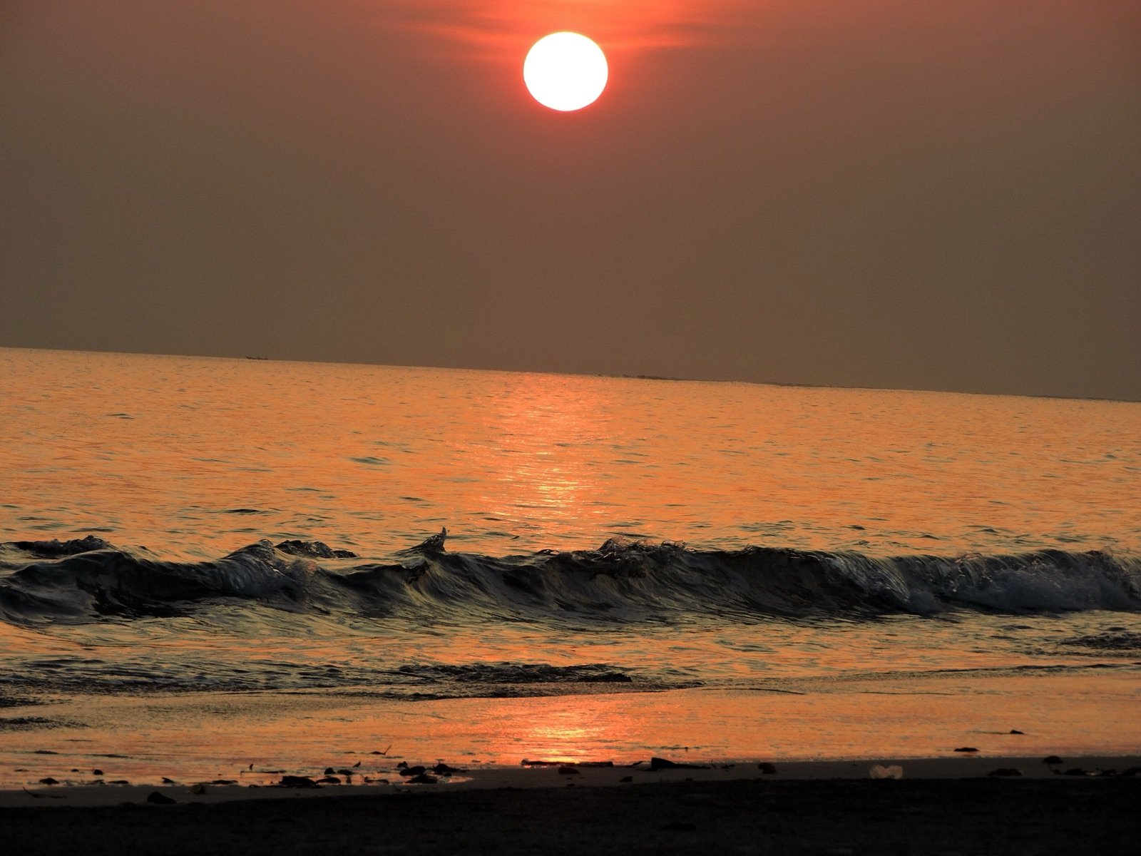 Andaman Tour Packages