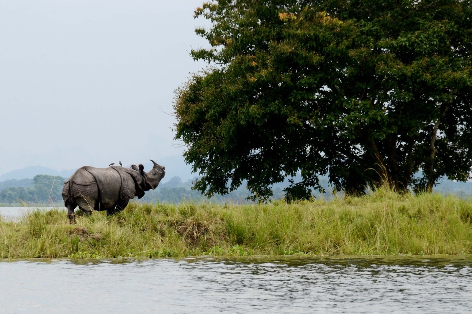 North East India Tour Packages