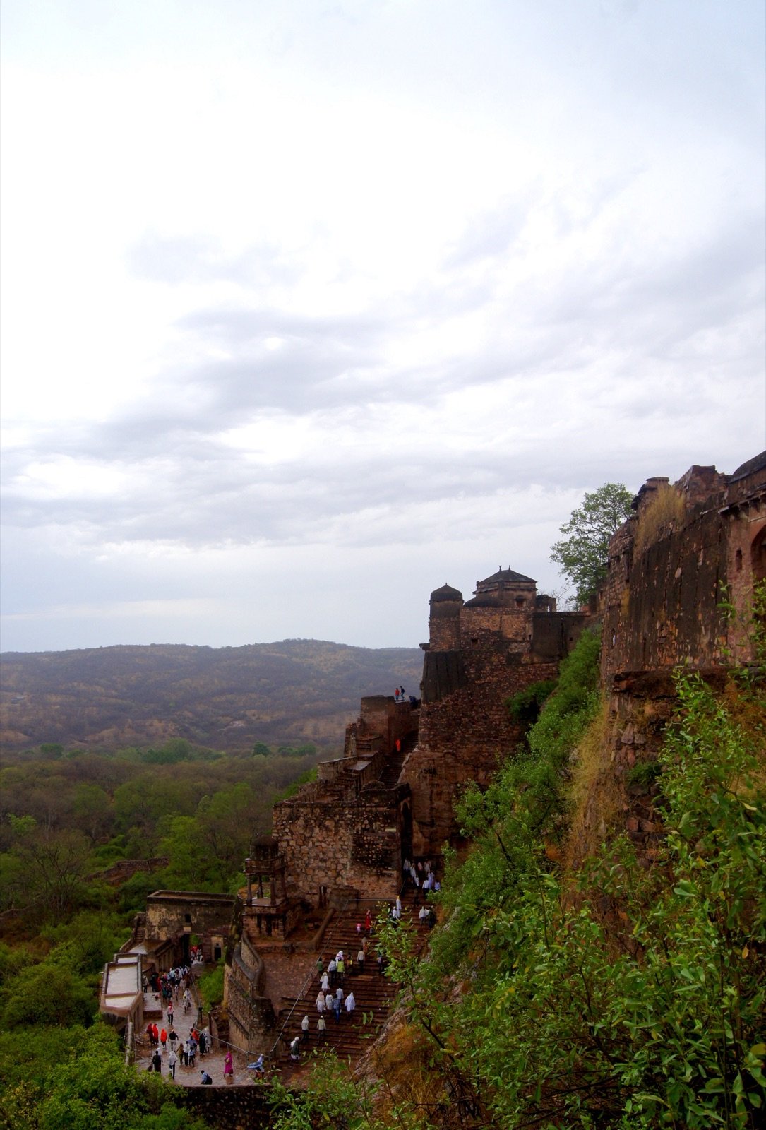 Ranthambore 2