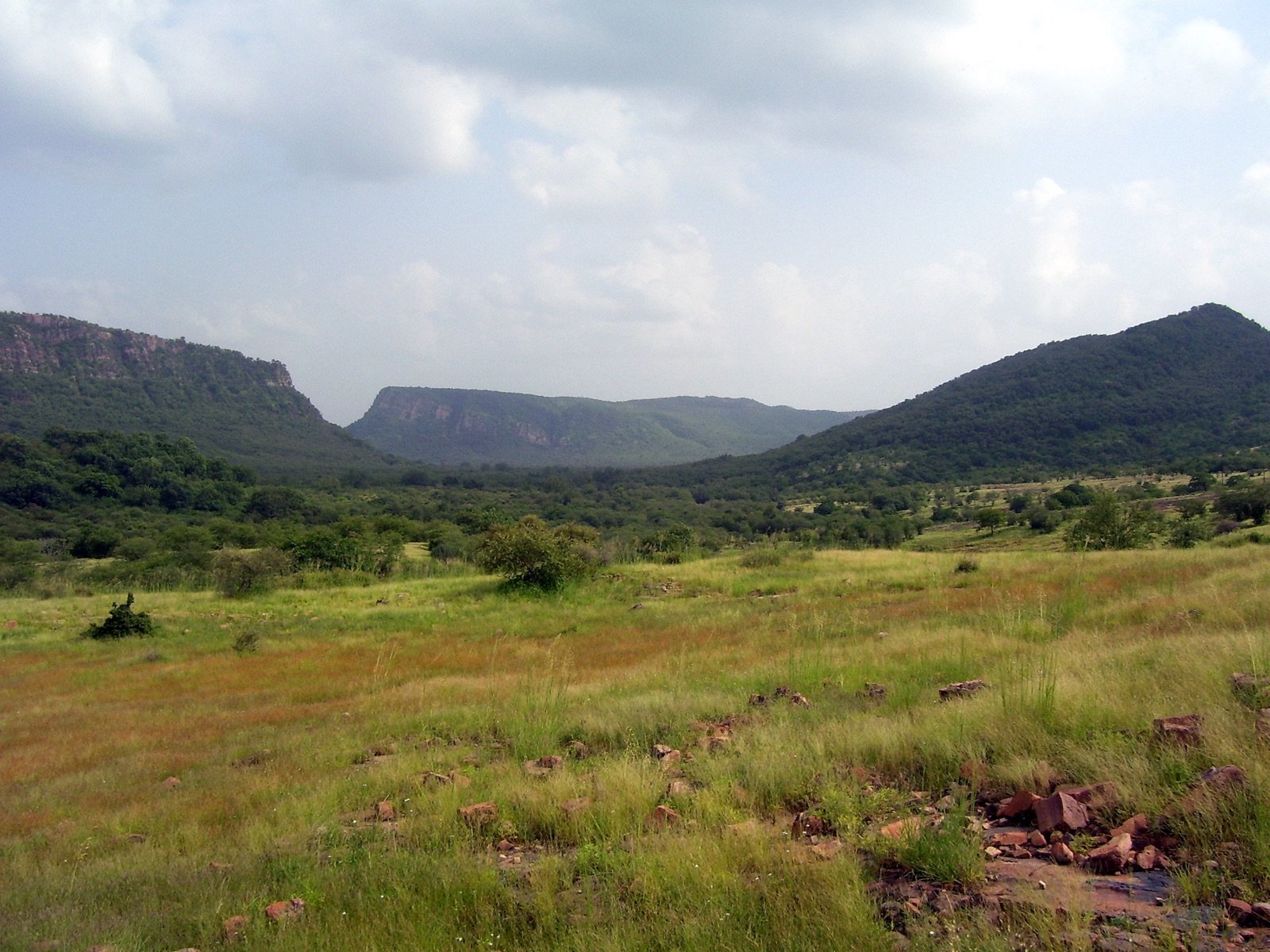 Ranthambore 1